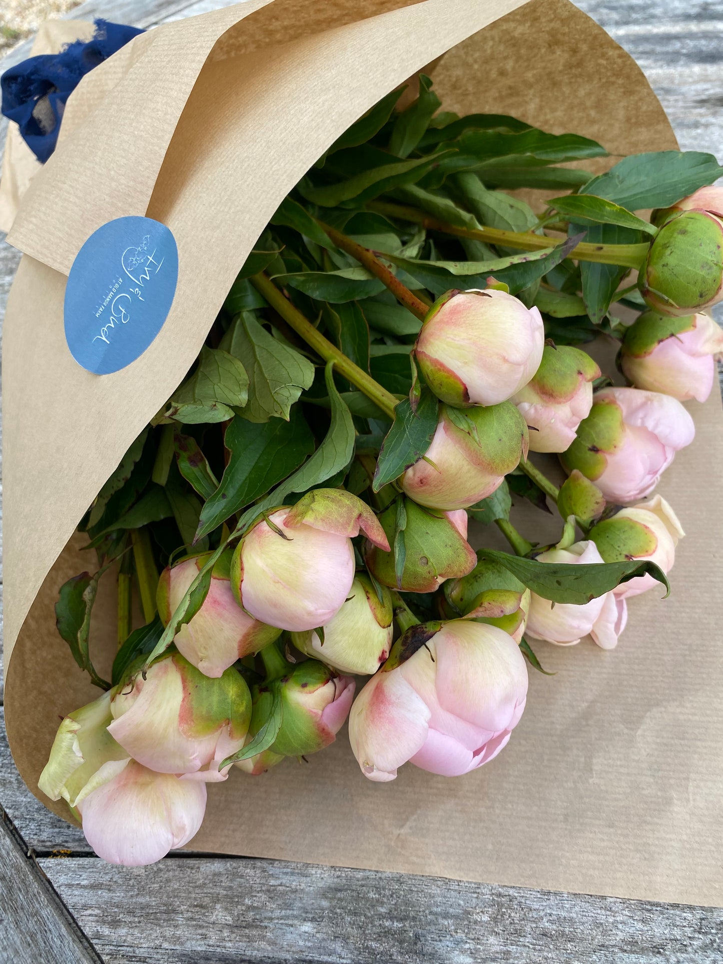 Bunch Of Blush Peonies - Ten Stems