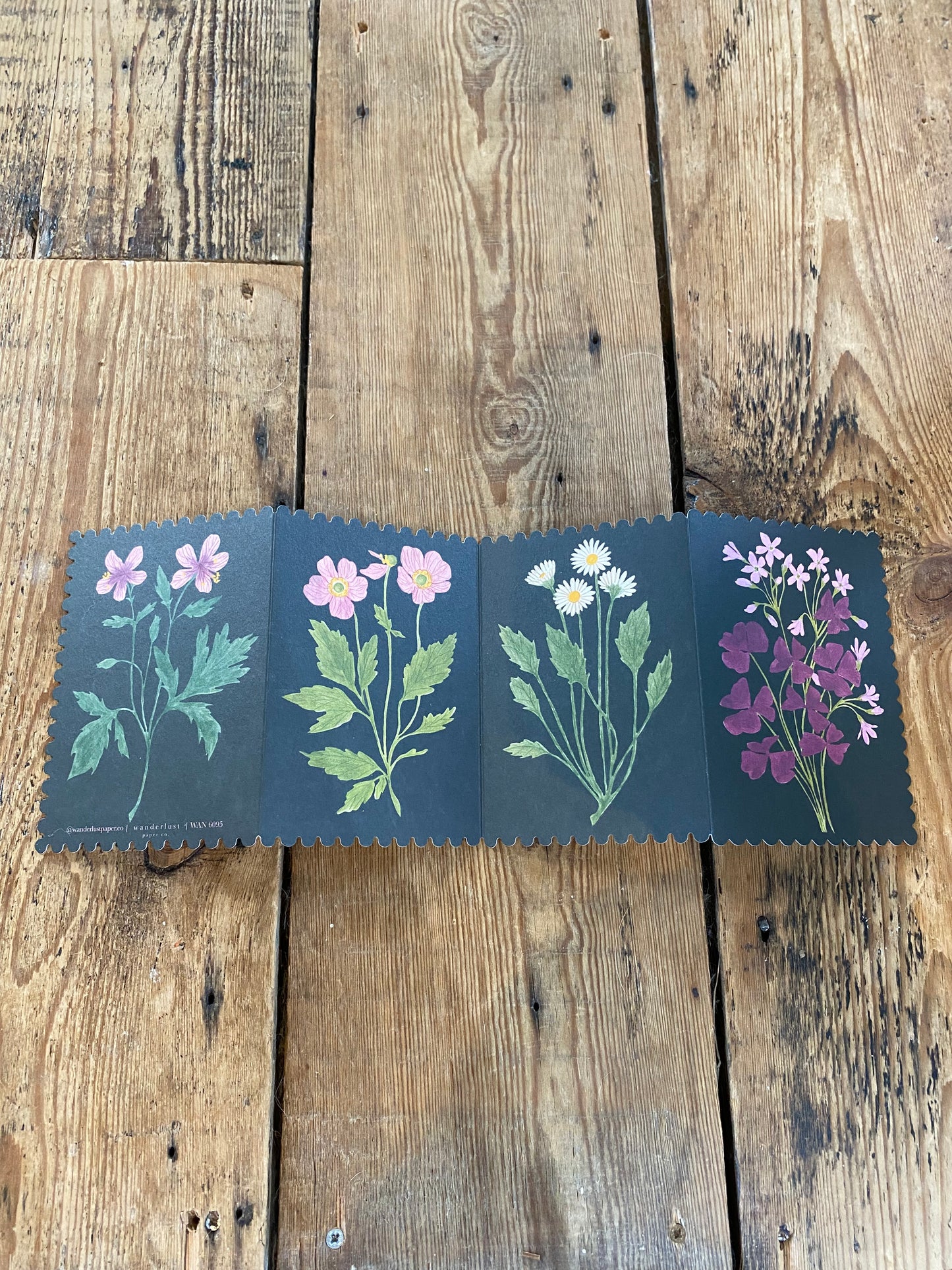 Botanical Concertina Wanderlust Paper Co. Card