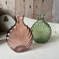 Our Shell Vase Collection - including a posy of flowers