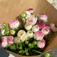Bunch Of Ranunculus - Twenty Stems