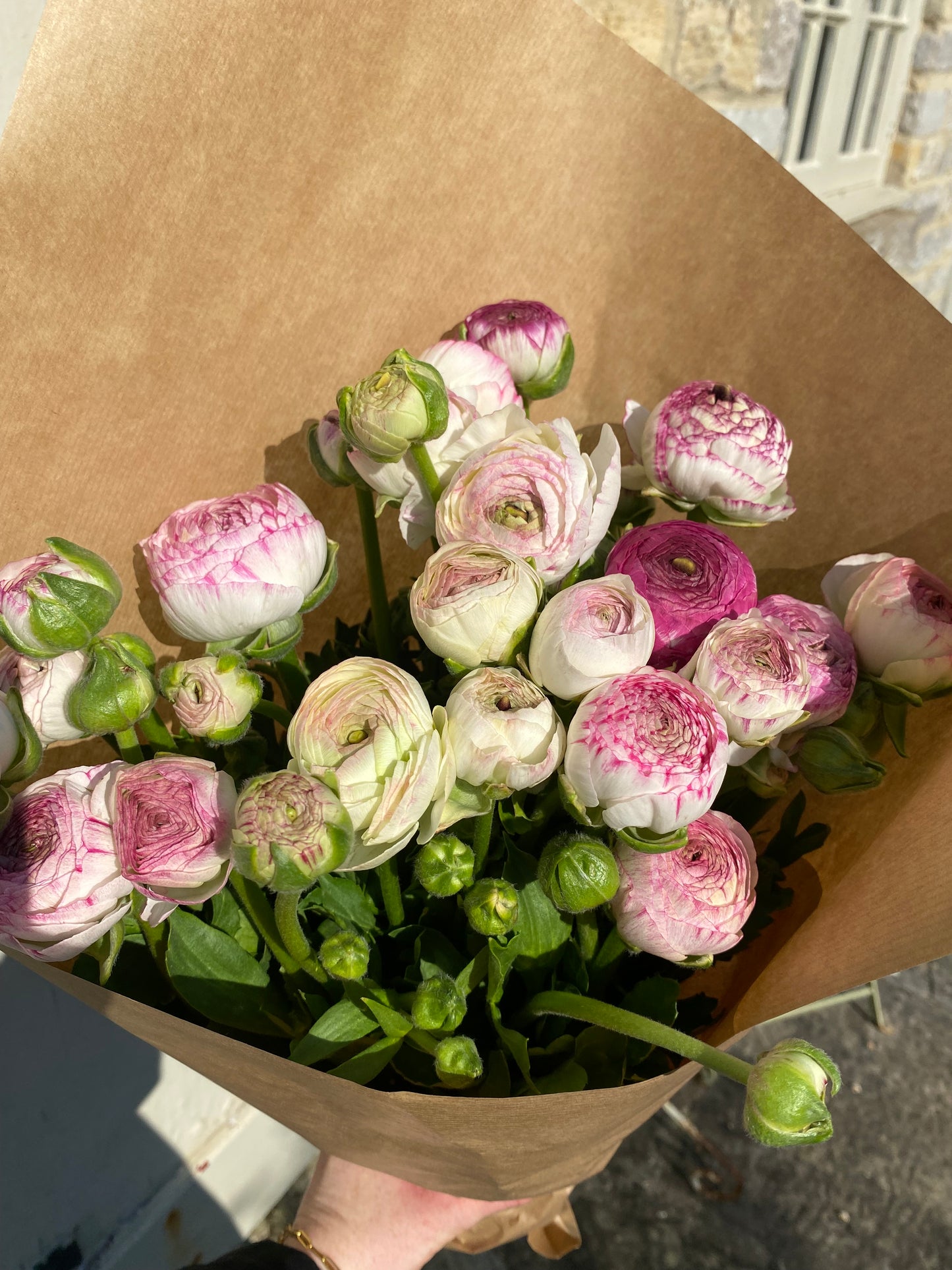 Bunch Of Ranunculus - Twenty Stems