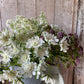 Mixed Bunch Of Filler Stems - Ten Stems