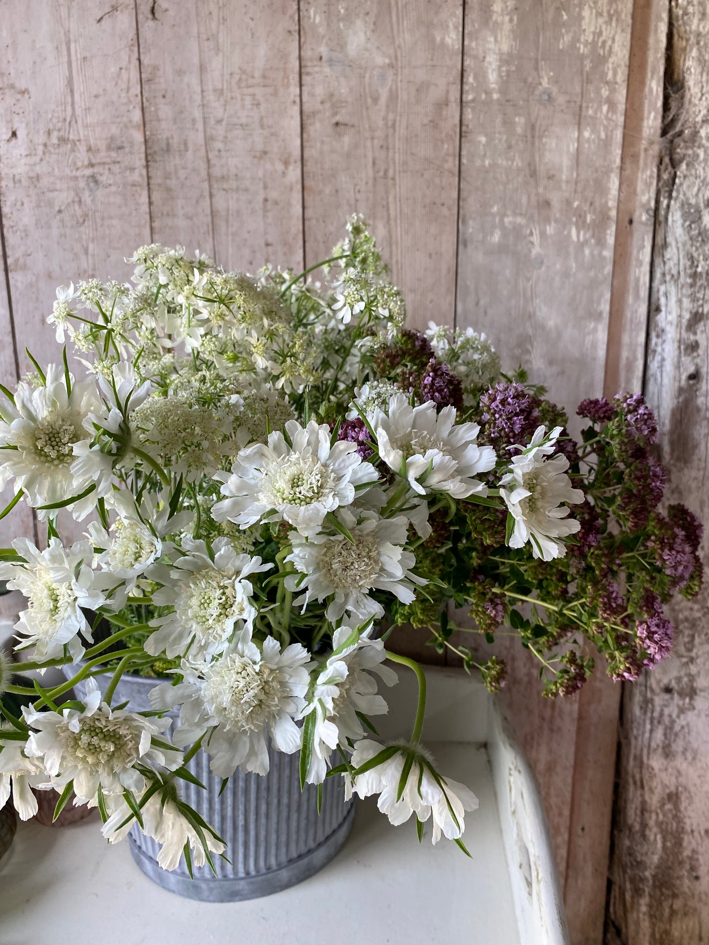 Mixed Bunch Of Filler Stems - Ten Stems
