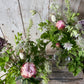 Our Decanter Vase Collection - medium - including a posy of flowers