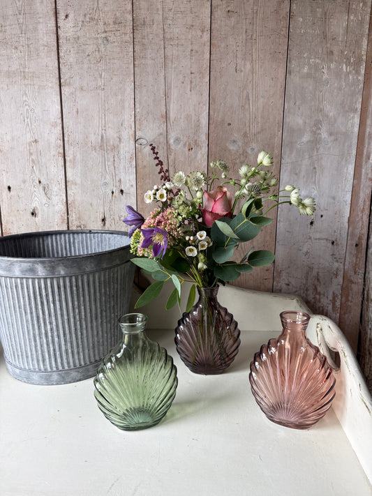 Coastal & Collected. Gorgeous Shell Shaped Bud Vases + Flowers