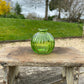 Spring Green Ribbed Glass Bud Vase Bowl - including a posy of seasonal flowers
