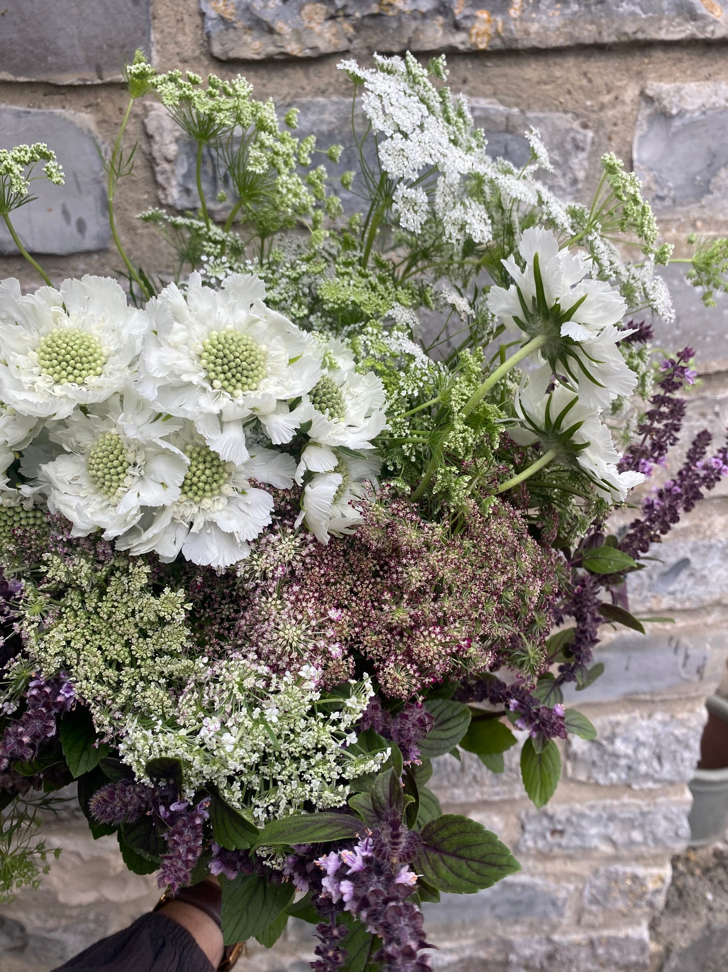 Mixed Bunch Of Filler Stems - Ten Stems