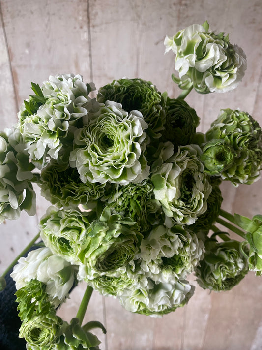 Bunch Of Frilly Ranunculus