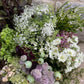 Mixed Bunch Of Filler Stems - Ten Stems