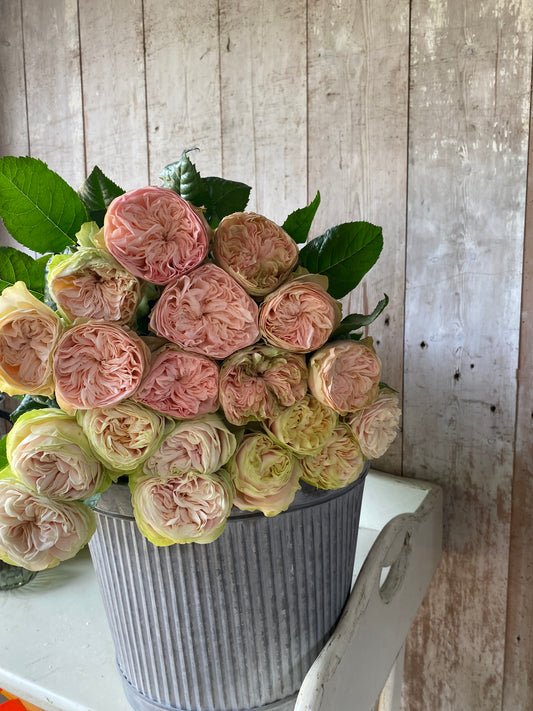 Bunch Of Mixed Garden Roses - Ten Stems