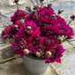 Bunch Of Mixed Coloured Dahlias - Ten Stems