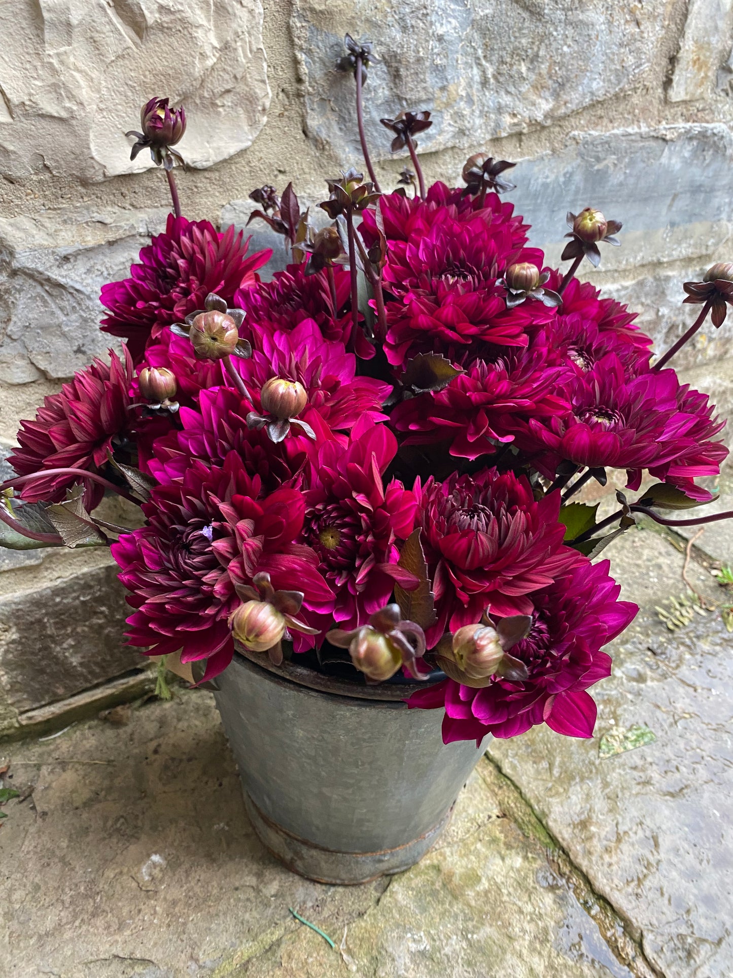Bunch Of Mixed Coloured Dahlias - Ten Stems
