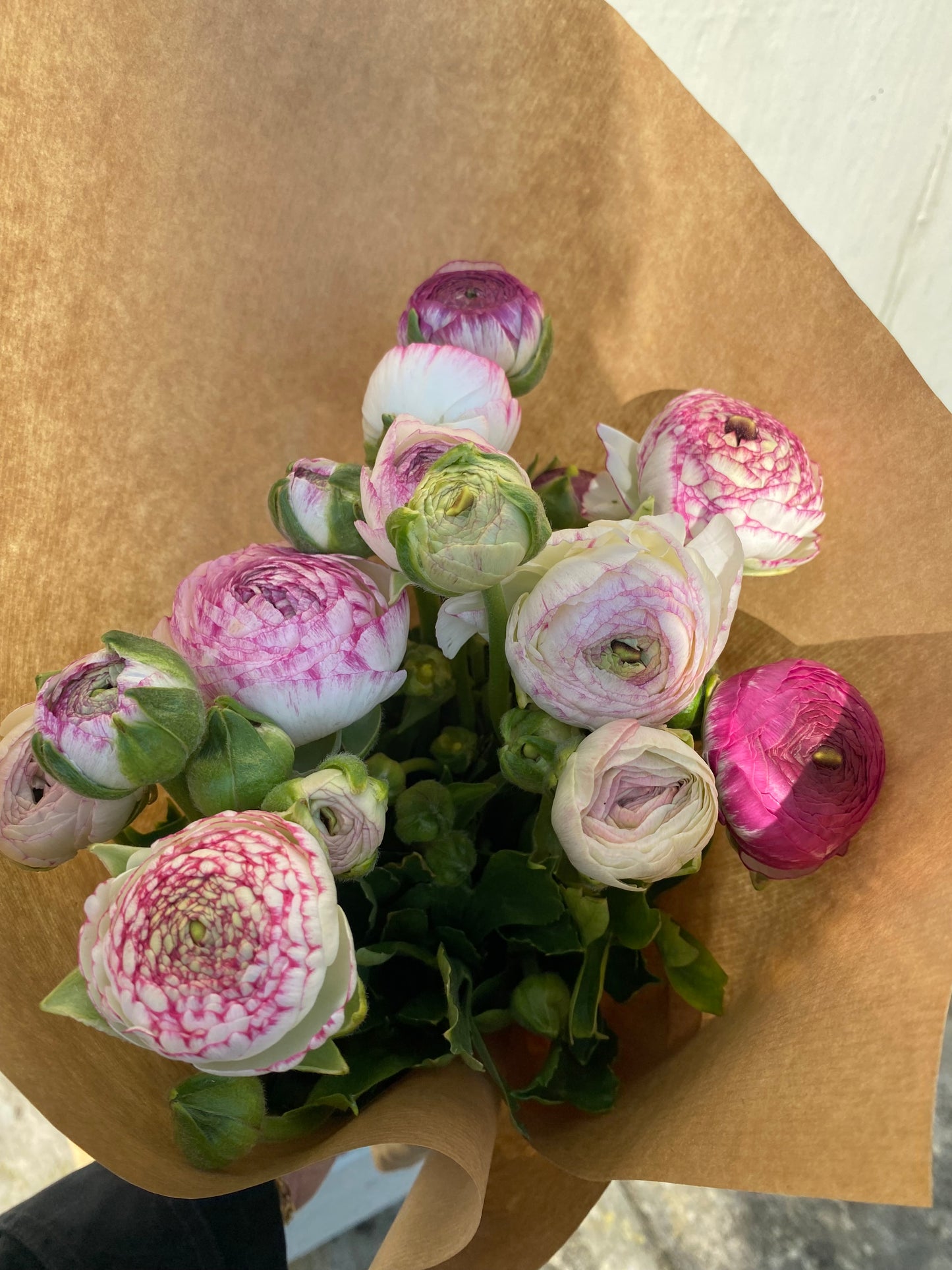 Bunch Of Ranunculus - Ten Stems