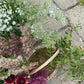 Mixed Bunch Of Filler Stems - Ten Stems