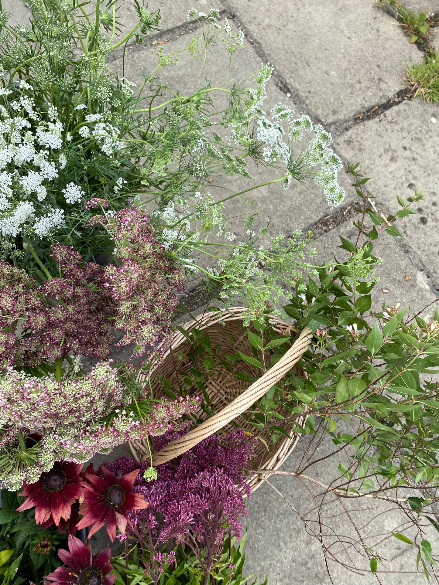 Mixed Bunch Of Filler Stems - Ten Stems