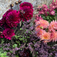 Bunch Of Mixed Coloured Dahlias - Ten Stems