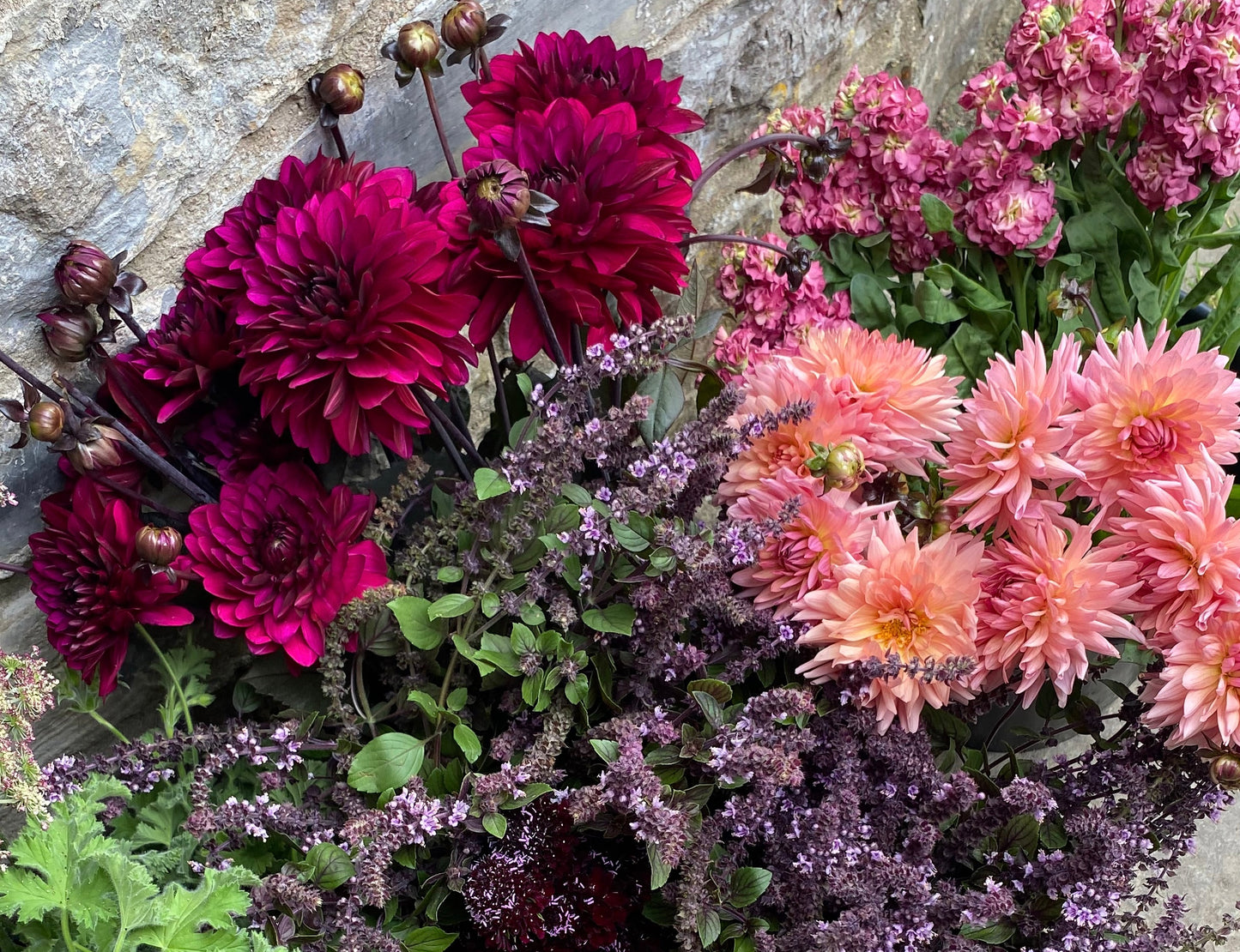 Bunch Of Mixed Coloured Dahlias - Ten Stems