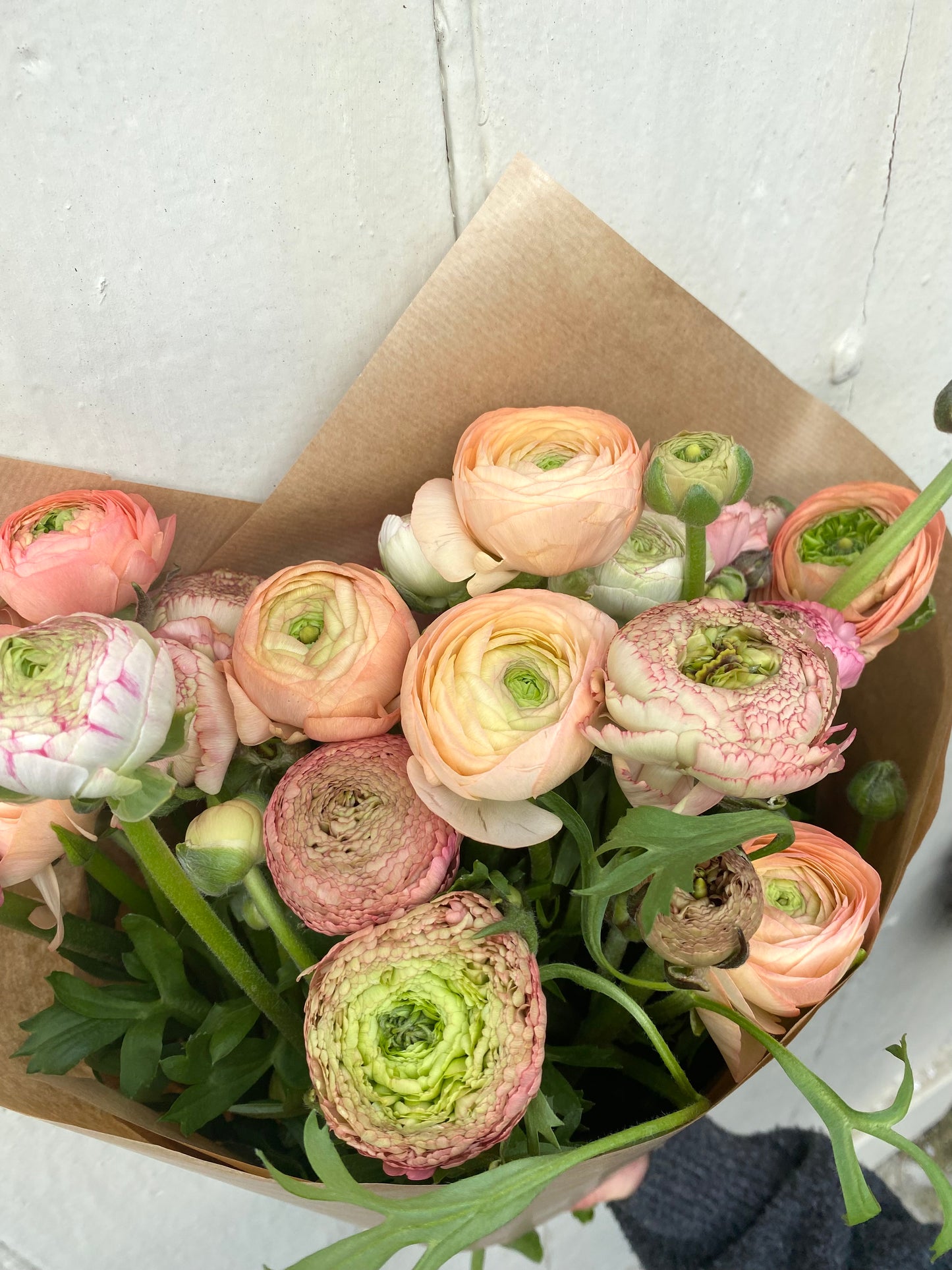 Bunch Of Ranunculus