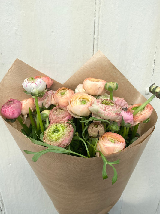 Bunch Of Ranunculus