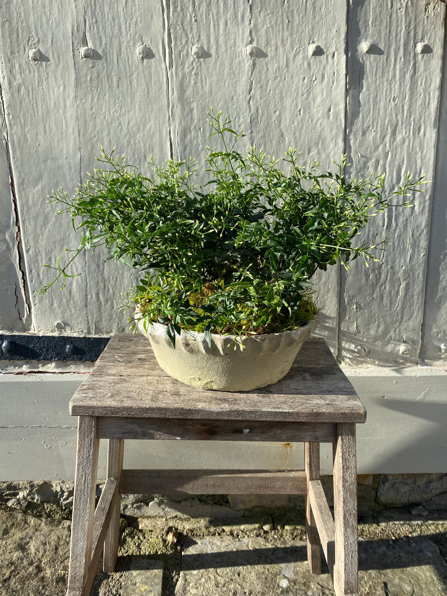 Antiqued White Stone Frill Rim Planter - Large