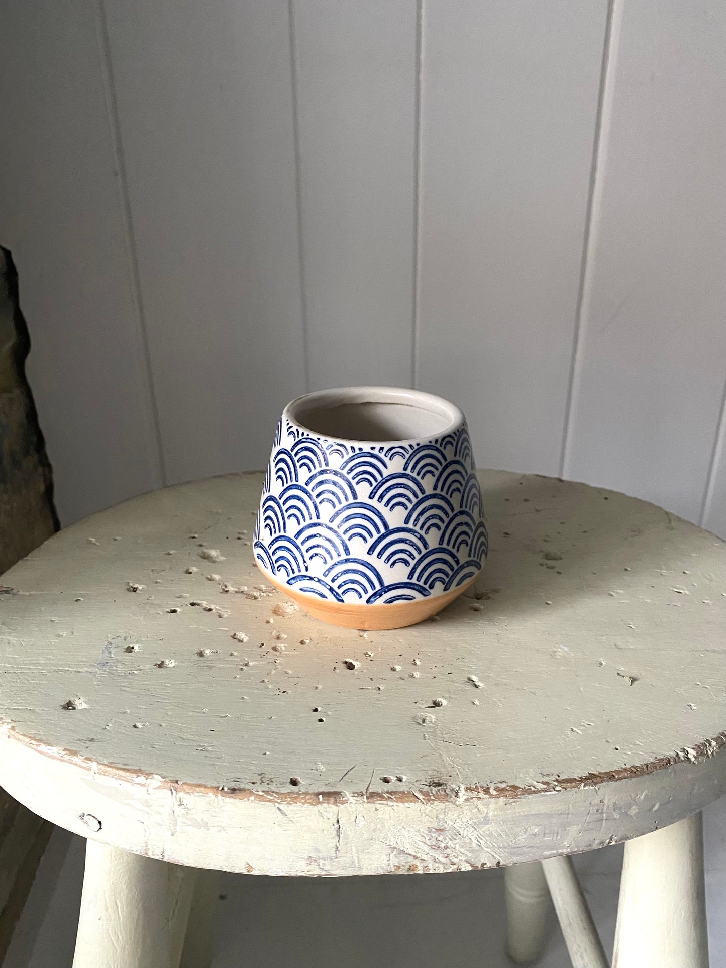 Blue and white ceramic pot, planted with a Hyacinth bulb