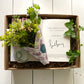 The Simple Life Gift Box - including a clear shell bud vase with a posy of seasonal flowers